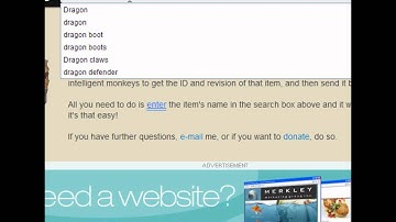 RSPS - How to edit Player starter items (Voice tut)