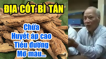 Bài thuốc: Địa cốt bì tán - Chữa bệnh cao huyết áp kèm tiểu đường kèm mỡ máu - Thầy Đỗ Đức Ngọc