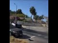 Police Shorts #6 - WTF