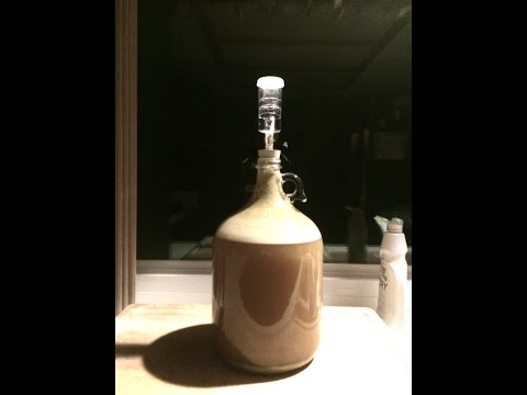 Come Brew Beer 1 gallone Homebrew Kit