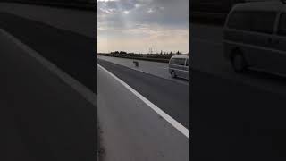 Dörtyol Pejo Yarışı