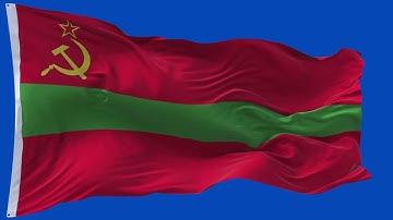 🚩Transnistria  Flag Waving  | GREEN SCREEN & CHROMA MATTE🚩