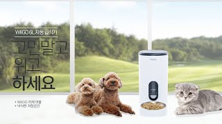 Wiigo 위고 6L 펫 자동급식기 홍보영상