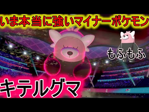 マイナーポケモン養成所 キテルグマこんなに強いのになんでみんな使わない ポケモン剣盾 Youtube