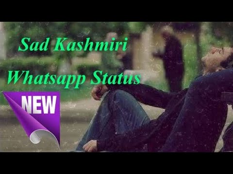 naseem-ul-haq-new-kashmiri-status-video-from-sms-editz