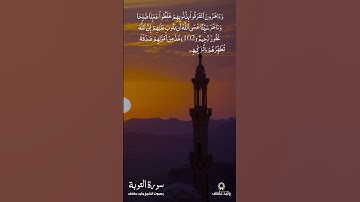 سورة التوبة ❤️ الشيخ وليد عاطف #القرآن_الكريم #اكسبلور
