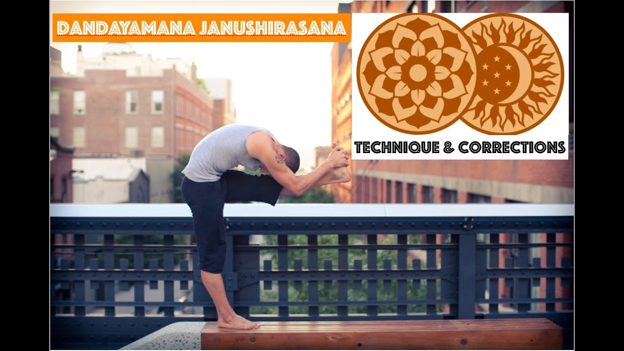 Standing Head to Knee Pose - Dandayamana Janushirasana