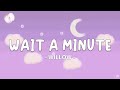 Willow  wait a minute lyrics tiktok remix