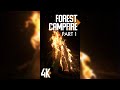 3hrs of relaxing forest campfires for tablets  phones  4k vertical screen  fire sound 1