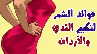 فوائد الشمر لتكبير الثدي والمؤخرة ( فوائد اليانسون لوالشمر لزيادة الوزن وتكبير الصدر والارداف )