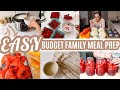 EASY BUDGET FRIENDLY WEEKLY MEAL PREP RECIPES LARGE FAMILY MEALS WHATS FOR DINNER FREEZER MEALS