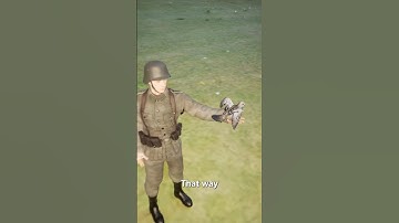 How Armies Trained Birds To Deliver Secret Messages