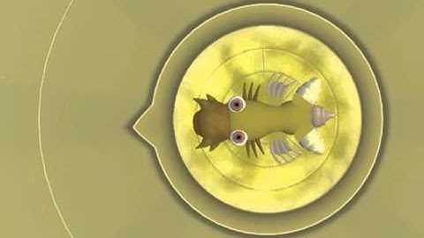 Spore- Secret Cell Editor Gameplay