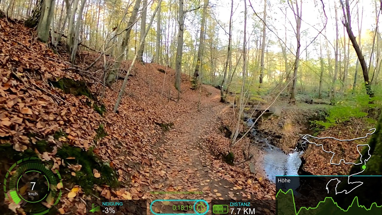 30 minute Autumn🚴🏽‍♂️🍂🍁🌞Indoor Cycling Workout Garmin 4K Video