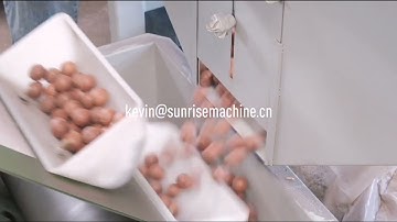 Almond Hazelnut Walnut Macadamia Nut Cracker Sheller Hulling Breaking Shelling Cracking Machine
