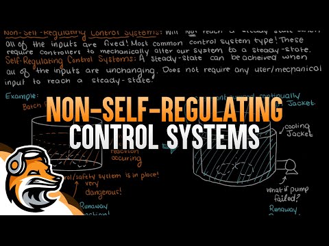 Non-Self-Regulating Control Systems