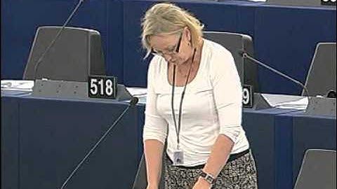 The Common Foreign and Security Policy