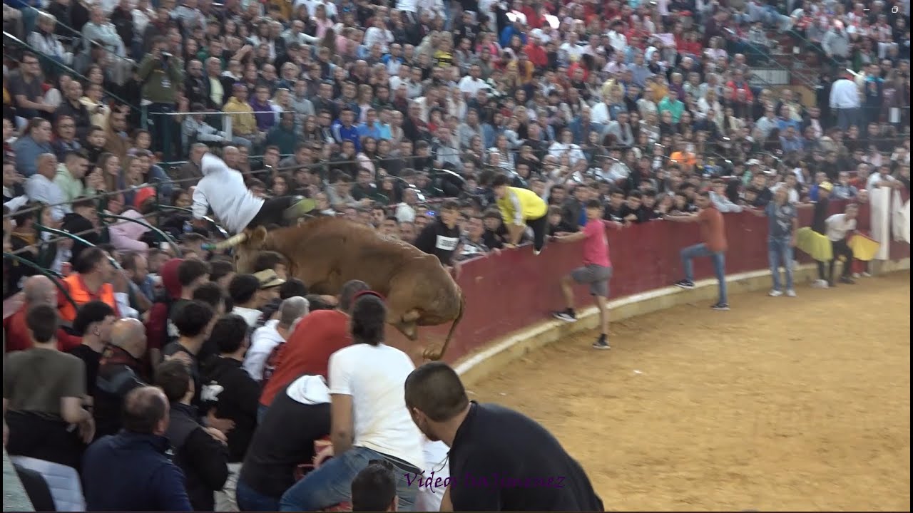 Zaragoza – Mañana vaquillera 11/10/2025 – Nº101/ Jardinera II – 