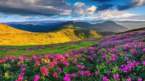 تلاوة من روائع تلاوات لسورة لقمان للشيخ عبد الباسط عبد الصمد رحمه الله