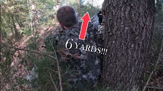 INSANE close encounter with a black coyote while turkey hunting!!!!