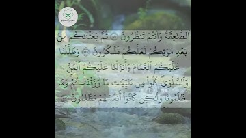 سورة البقرة  الشيخ محمد الفقيه  #forupage #اكسبلور #quotes #تيك_توك #duet #quran #دويتو #peace