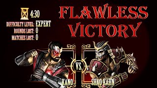 ЧИСТАЯ ПОБЕДА/ КАНО VS ШАО КАН/ ЭКСПЕРТ/ МОРТАЛ КОМБАТ 9/ FLAWLESS VICTORY/ KANO VS SHAO KAHN