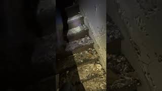 Exploring abandoned haunted shady lane apartments 
