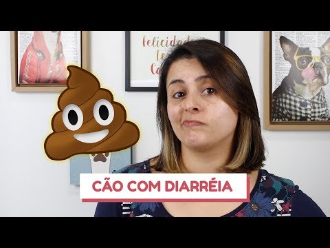 Vídeo: Por que meu cão toma seu próprio tempo doce quando se trata de fazer cocô?