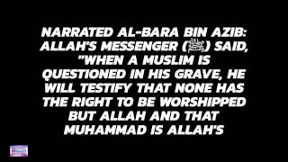 Daily Hadith 349