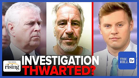 UK Protected PRINCE ANDREW From Jeffrey Epstein's ...