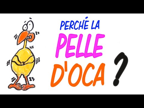 Video: Perché Appare La Pelle D'oca, Corre Sopra La Testa, Le Gambe E Le Braccia