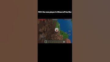 Pov: the new player in Minecraft be like … #funny #minecraft #minecraftlogic #gravity #logic #fyp