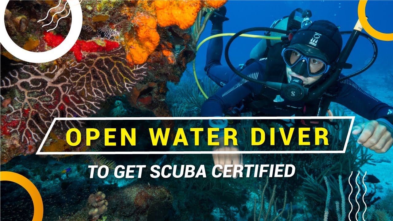 Begginers Scuba Diving Courses with Dressel Divers