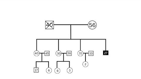 "Creating a Stunning Family History Genogram with Canva | Easy DIY Tutorial"