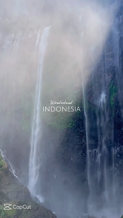 Wonderland Indonesia 🇮🇩 #indonesia #indonesian #bali #indonesiamaju #jakarta #waterfall #mountains