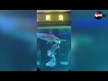 Giant fish attacks mermaid