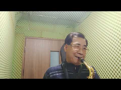 문성재의 부산갈매기