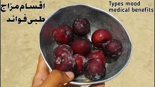 Aloo Bukhara Types Mood Medical Benefits | Benefits Of Eating Plum Fruit