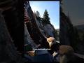 “Eagle Strikes Drone Mid-Air—Unbelievable Attack Caught on Camera!”#wildlife