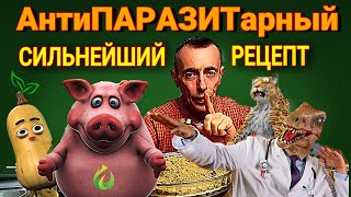 видео: Сильнейший Антипаразитарный Рецепт из Тыквы, Гвоздики и Пижмы — Народная Медицина от Глистов #рецепт картинка: Сильнейший Антипаразитарный Рецепт из Тыквы, Гвоздики и Пижмы — Народная Медицина от Глистов #рецепт
