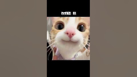 Me Vs My type✌🏻//[Who is your type?]//#anime #trending #pov #fyp #animememes #mytype #edit #106