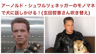 アーノルド・シュワルツェネッガーのモノマネ。「ターミネーター２」のT-800  (&追跡するT-1000)