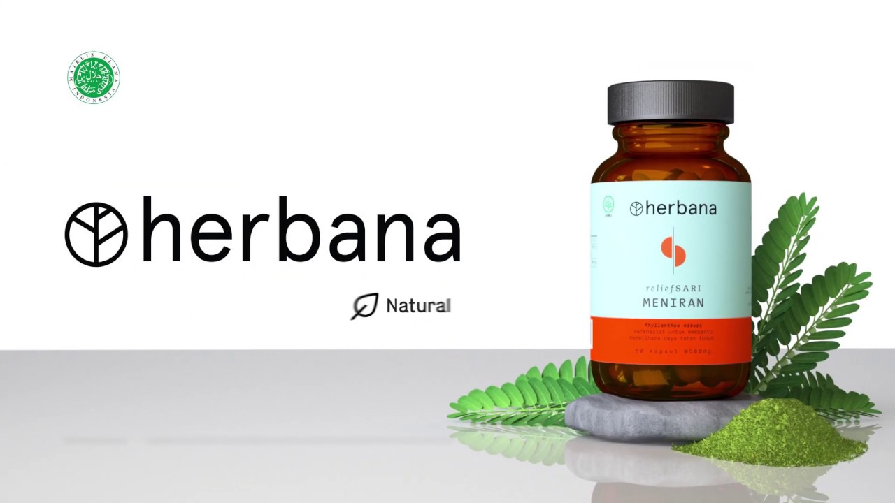 Herbana Reliefsari Meniran (Phylantus Niruri/Chanca Piedra) YouTube