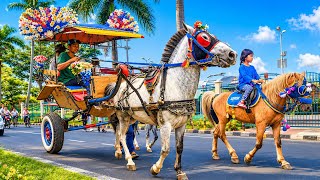 Riding a Horse-Drawn Carriage, Cheerful and Educational Children's Songs | Popular Indonesian Chi...