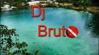 BREGAS MARCANTES 4 - DJ BRUTO