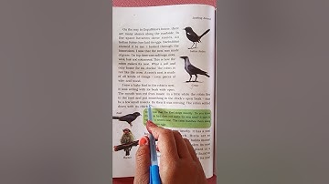 NKJ std 4  E V S  ch 16  part-1
