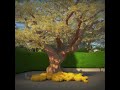 Blues Rock Night