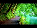 من اجمل التلاوات الخاشعة الرائعة لسورة الإسراء وقصار السور للشيخ حجاج الهنداوي.