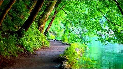 من اجمل التلاوات الخاشعة الرائعة لسورة الإسراء وقصار السور للشيخ حجاج الهنداوي.