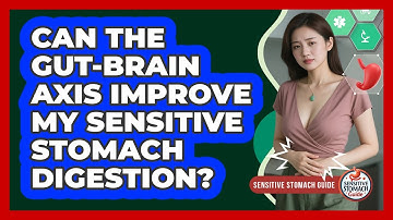 Can The Gut-Brain Axis Improve My Sensitive Stomach Digestion? - Sensitive Stomach Guide